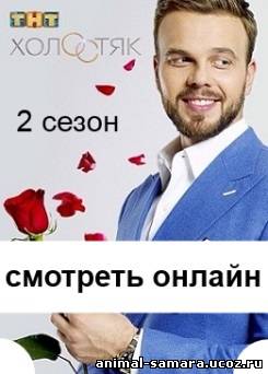 Холостяк 2 сезон 2014 на ТНТ 7, 8, 9, 10, 11, 12, 13, 14, 15 выпуск онлайн