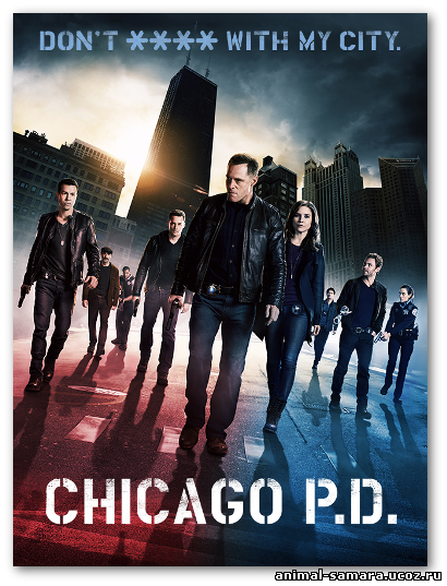 Полиция Чикаго 2 сезон смотреть онлайн 1, 2, 3, 4, 5, 6, 7, 8 серия онлайн